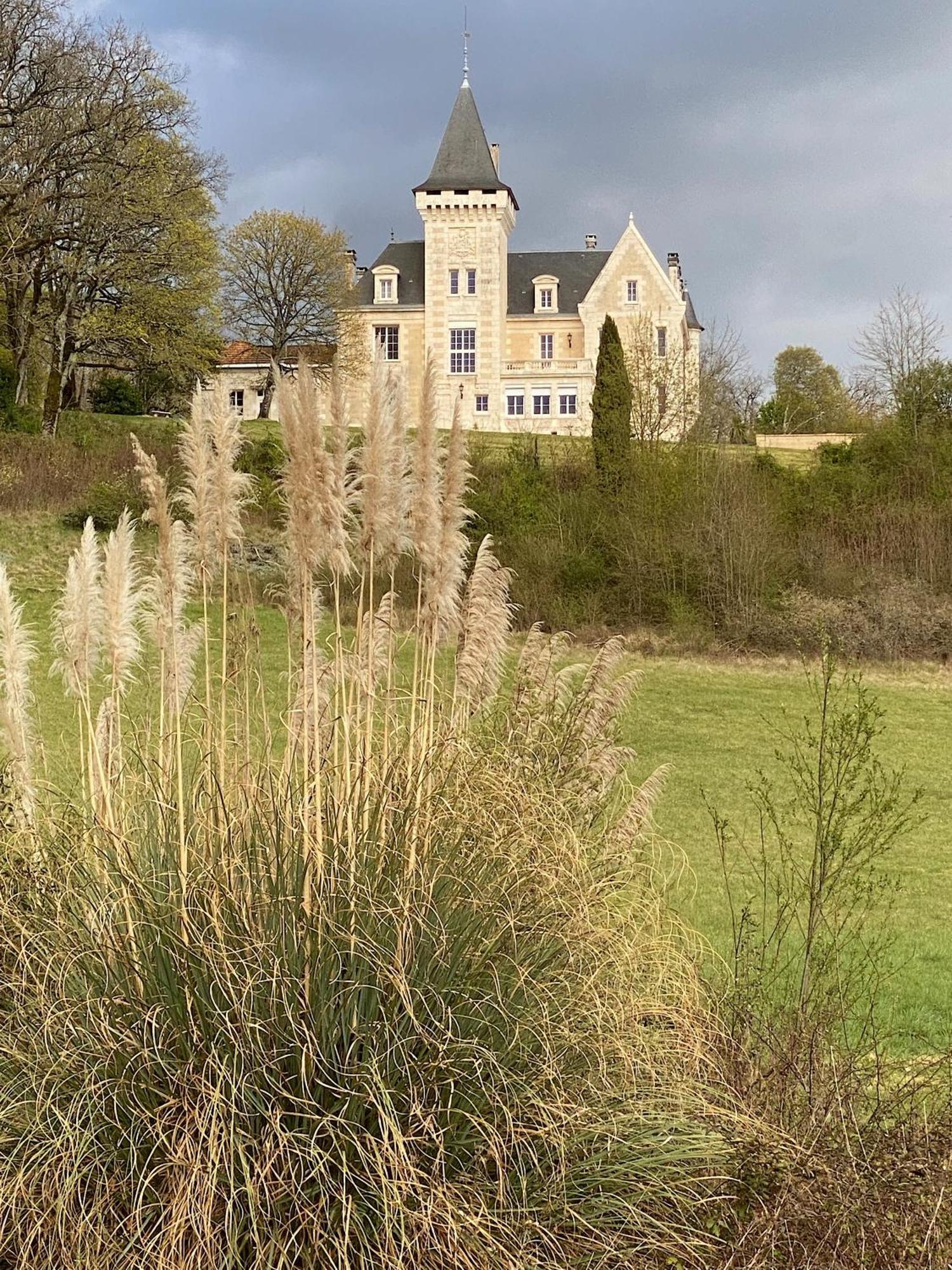 Chateau De Bellevue B&B Et Appartements Avec Piscine Saisonal Chauffee Et Chambres Partout Climatisees Saint-Avit  Exterior foto